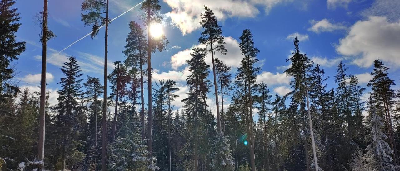 Bdapartmany Lipno nad Vltavou Bagian luar foto